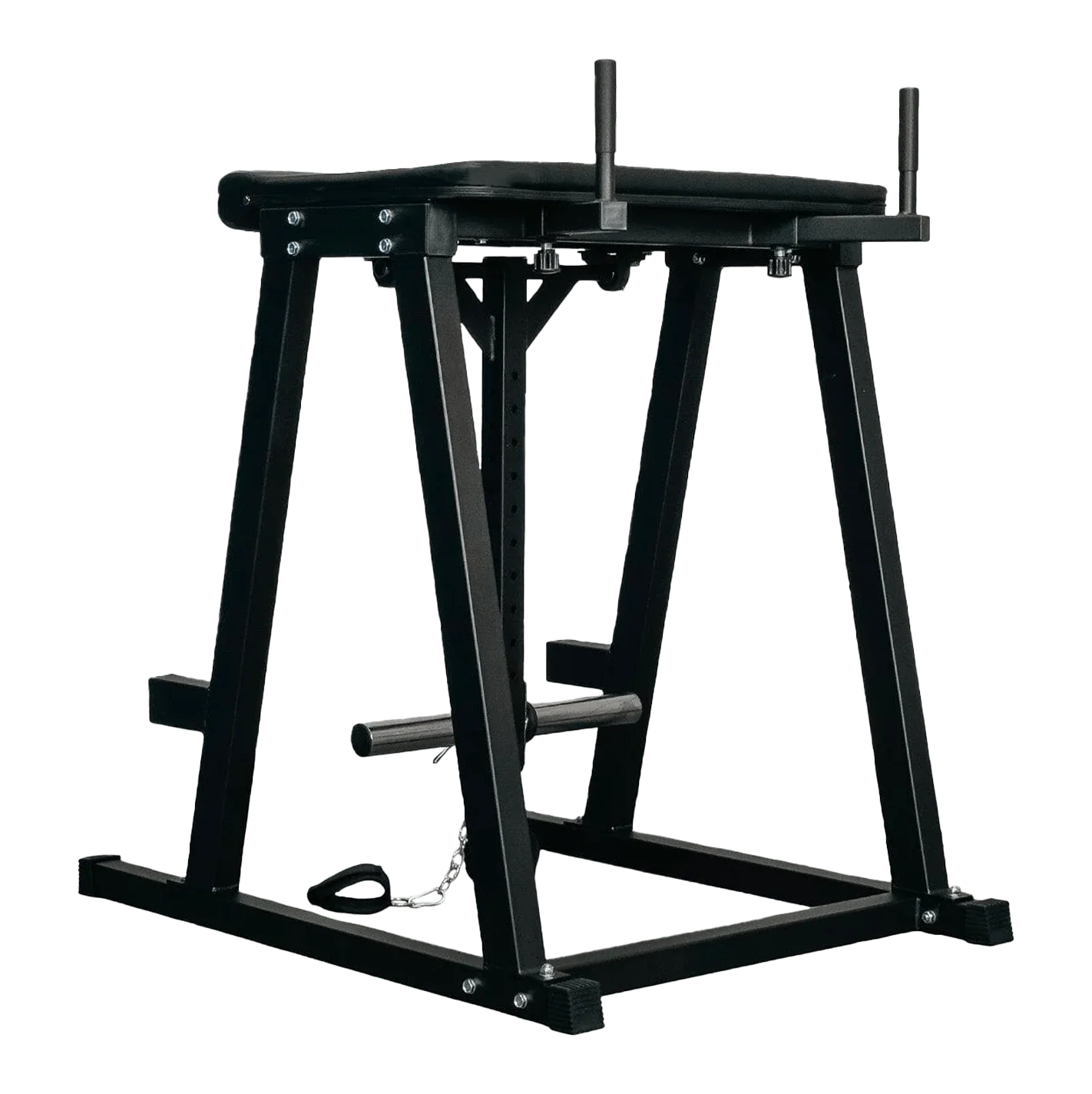 Reverse Hyperextension