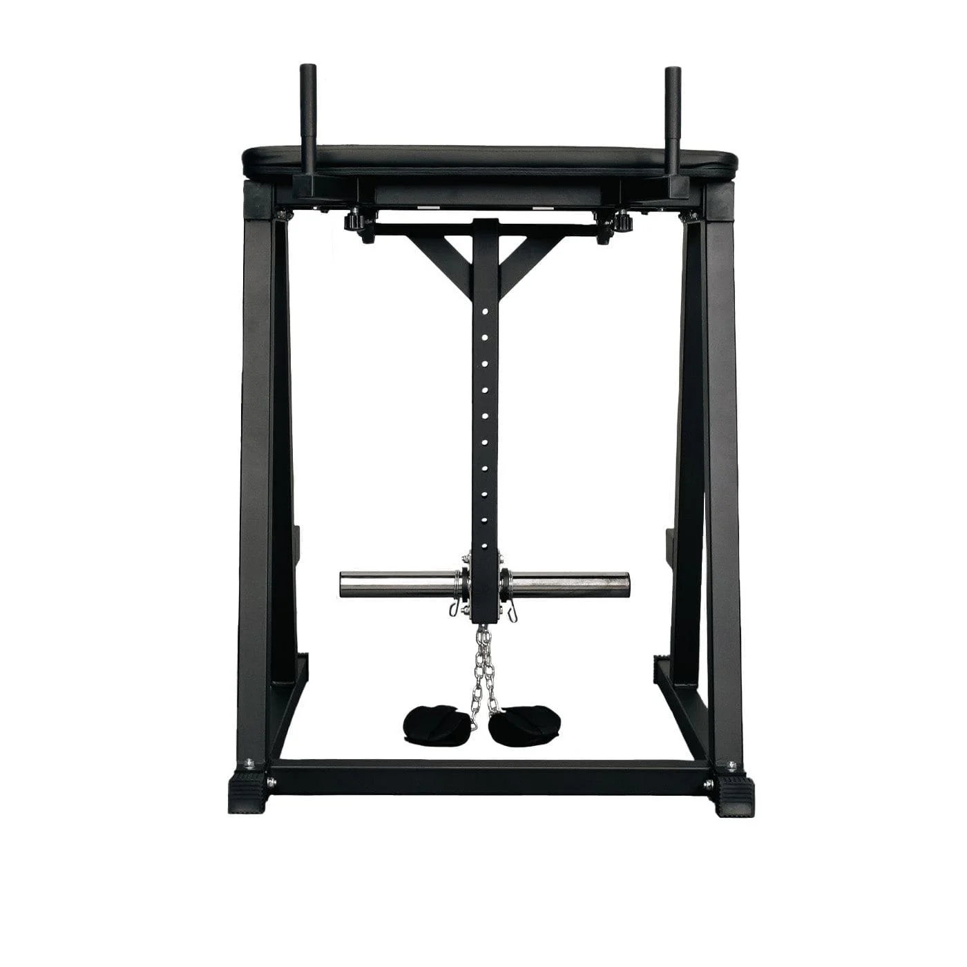 Reverse Hyperextension - Image 2