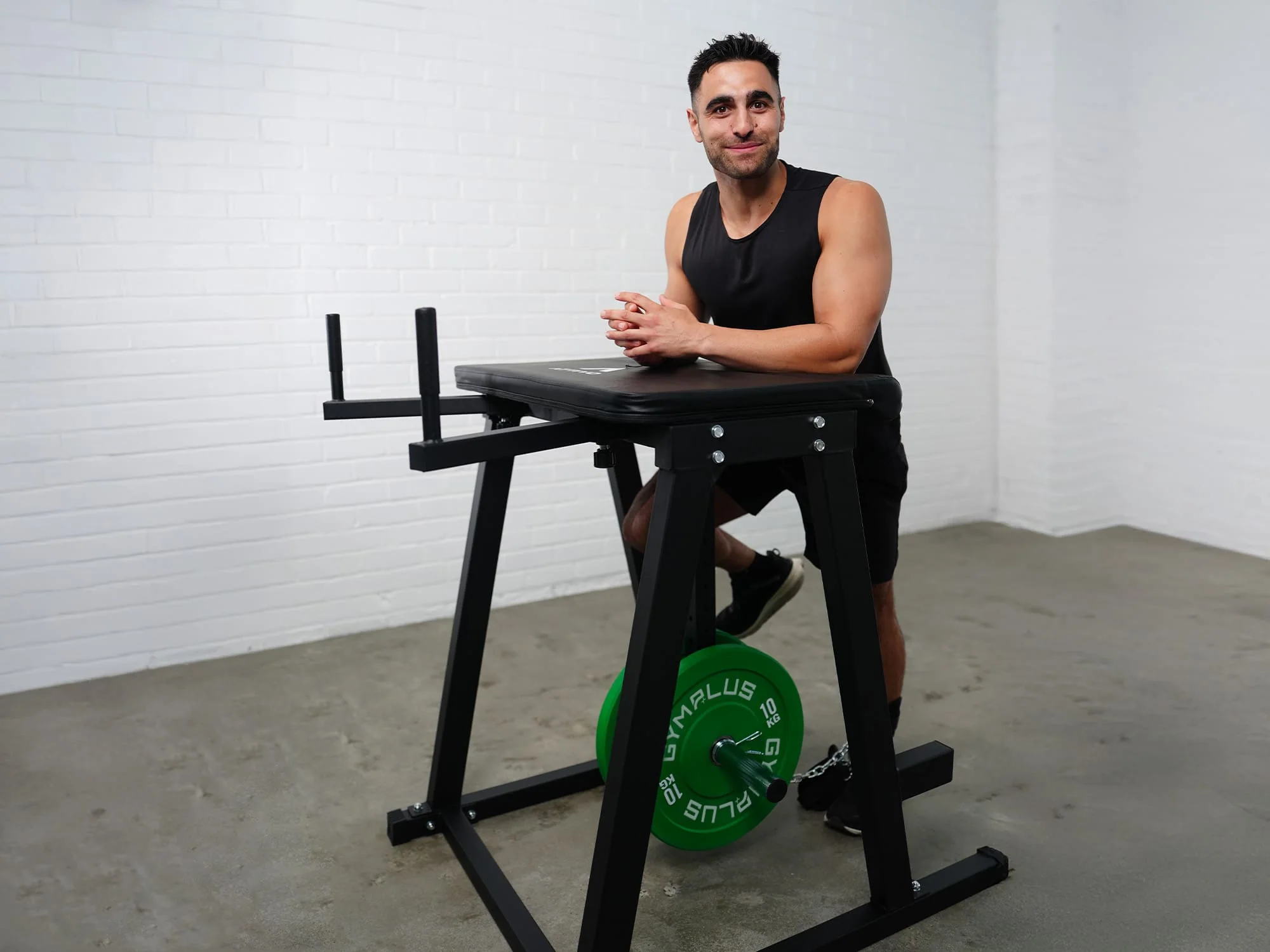 Reverse Hyperextension - Image 4