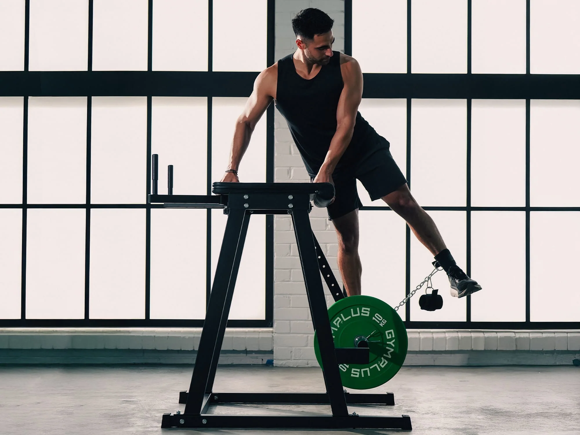 Reverse Hyperextension - Image 5