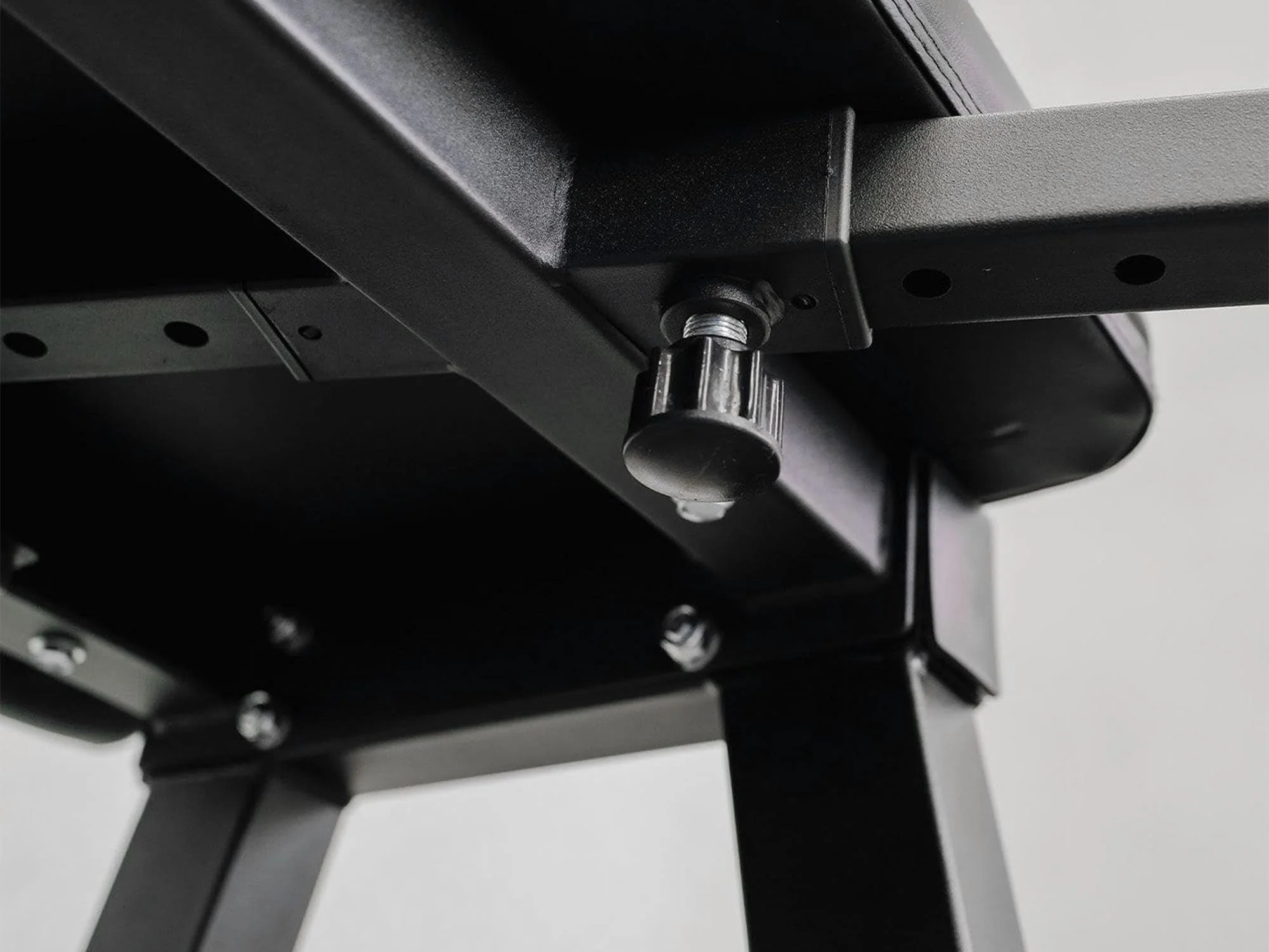 Reverse Hyperextension - Image 7